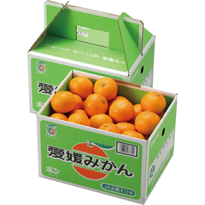 みかん 中島みかん 優品 l sサイズ 約2 5kg 愛媛県産 jaえひめ中央 中島選果場 ミカン 蜜柑 はちやフルーツ楽天市場店