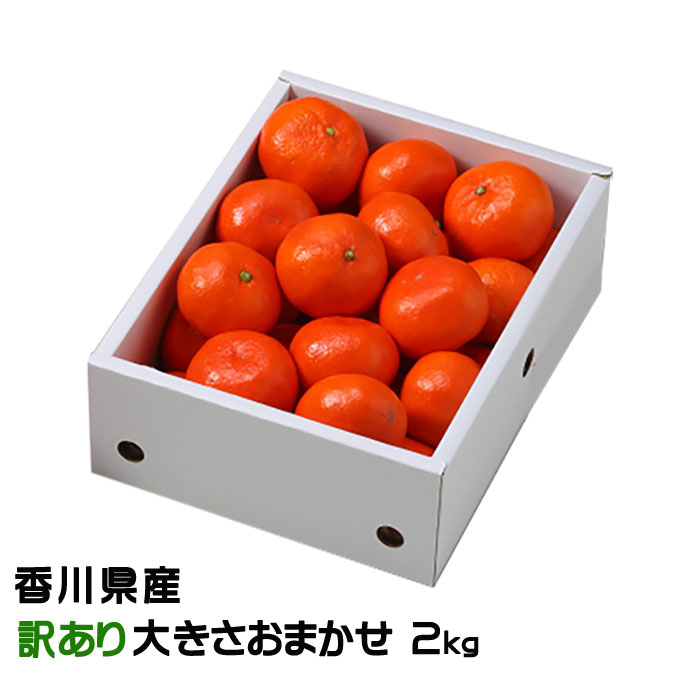 楽天市場】＼早期発送／【送料無料】【産地直送】香川産 紅みかん2kg