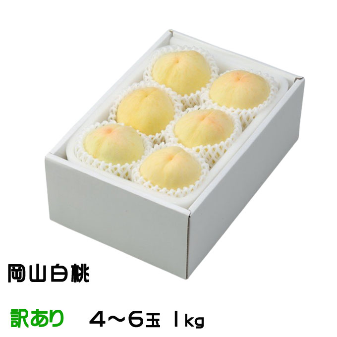 本日収穫、岡山県産ヤマモモ(山桃)特大１キロとおまけ付き フルーツ :: 《数量限定》平均糖度12度以上 岡山県 新見産 赤桃