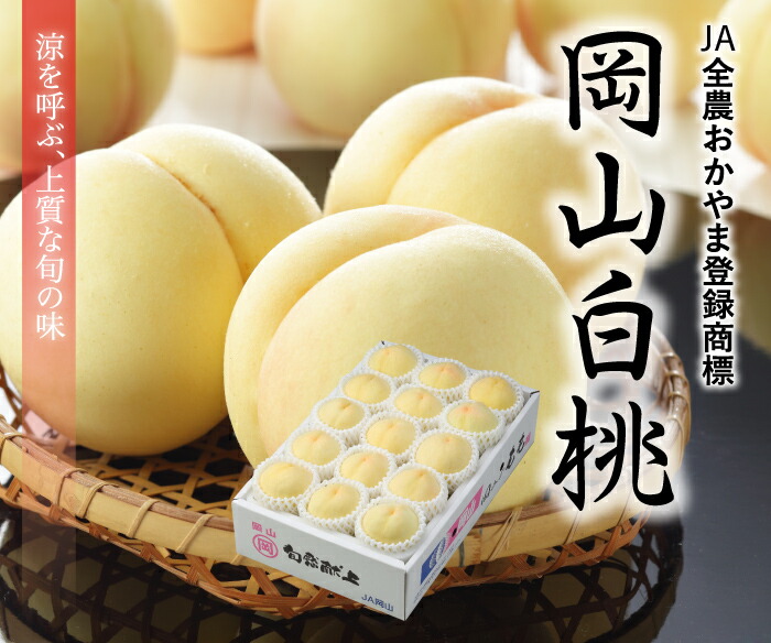 楽天市場 桃 岡山白桃 ロイヤル 4 8玉 約1 5kg 岡山県産 ｊａおかやま お中元 夏ギフト もも モモ はちやフルーツ楽天市場店