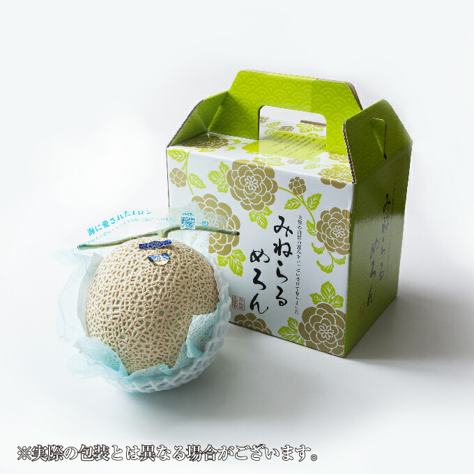 楽天市場】お中元 メロン プリンセスニーナ 秀品 1.4kg×1玉