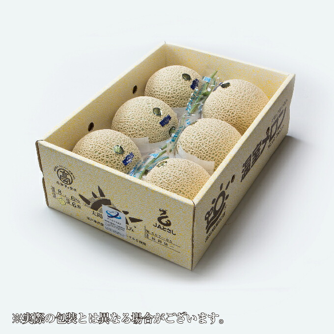 メロン プリンセスニーナ 秀品 6kg ５～６玉 アールスメロン 高知県産 JA高知県 ギフト