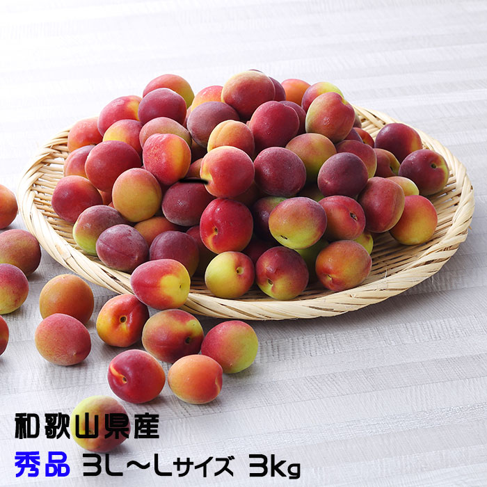 梅 パープルキング 秀品 3L～Lサイズ 3kg  和歌山県産 ＪＡ紀南  南高梅 パープル うめ
