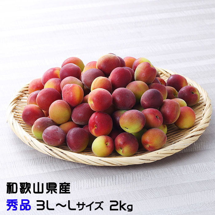 梅 パープルキング 秀品 3L～Lサイズ 2kg  和歌山県産 ＪＡ紀南  南高梅 パープル うめ