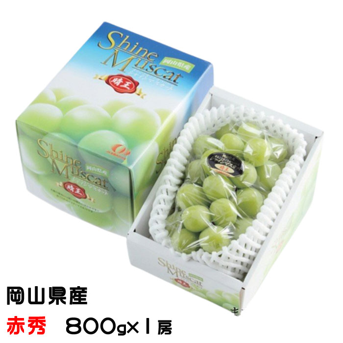 楽天市場】岡山県産 晴王(シャインマスカット) 赤秀 1房【桐箱】【送料