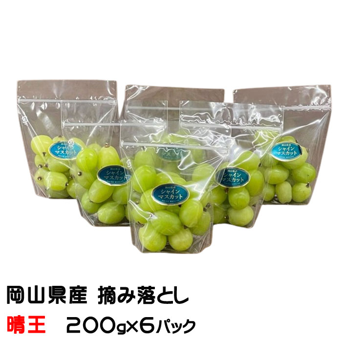 お中元 ぶどう シャインマスカット 晴王 摘み落とし 200g×6パック 計1.2kg 岡山県産 葡萄 ブドウ ギフト お取り寄せ