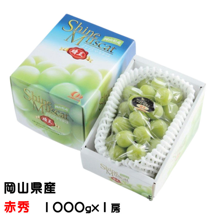 お中元 ぶどう シャインマスカット 晴王 赤秀 1000ｇ×1房 岡山県産 葡萄 ブドウ ギフト お取り寄せ