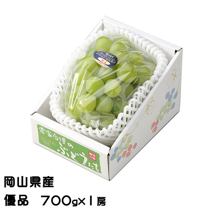 お中元 ぶどう シャインマスカット 晴王 優品 700ｇ×1房 岡山県産 葡萄 ブドウ ギフト お取り寄せ