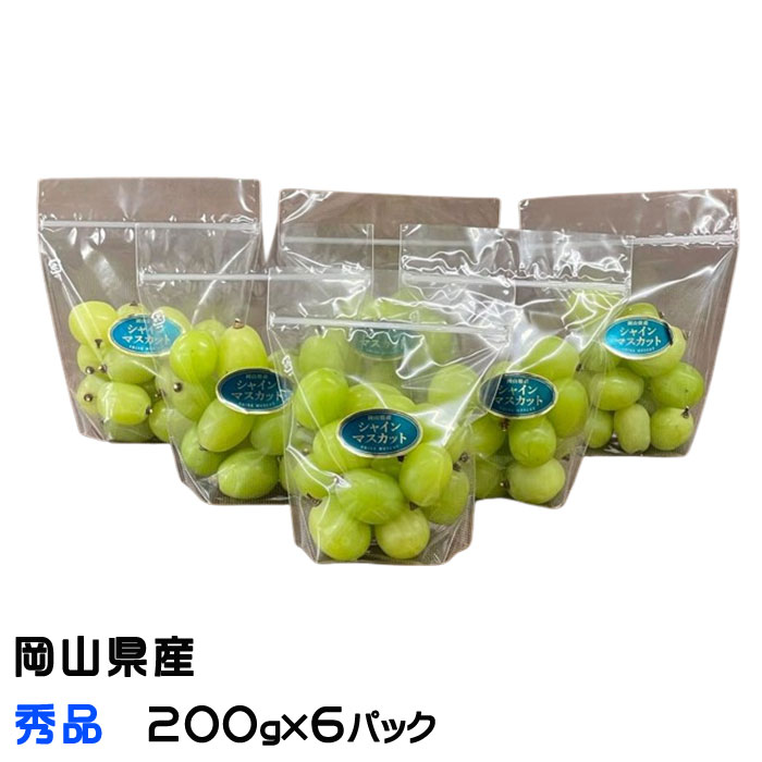 シャインマスカット大粒多め入り徳用5キロパック入りになります。 シャインマスカット大粒多め入り徳用5キロ入り粒のバック入りに