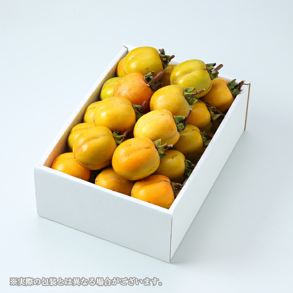 岡山県産西条渋柿　吊るし用20キロ 岡山県産西条渋柿 吊るし用20キロ - メルカリ