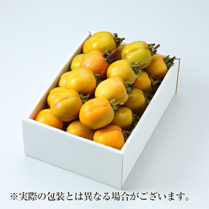 ともみ出品ページ加工用渋柿合計20Kg 楽天市場】西条柿 渋柿 干し柿用セット 枝付き 説明書 吊るし