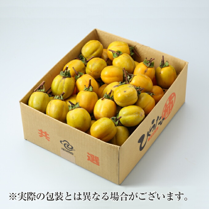 ※確認用　柿　のれん のれん受け 通しタイプ 2個セット | IONOストア