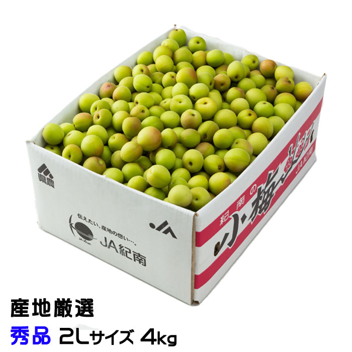 梅 小梅 産地厳選 秀品 2Lサイズ 4kg レシピ付き 梅干し用 生梅 うめ ウメ