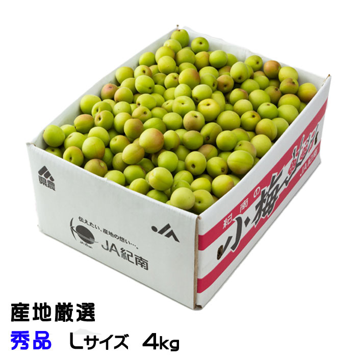 梅 小梅 産地厳選 秀品 Lサイズ 4kg レシピ付き 梅干し用 生梅 うめ ウメ