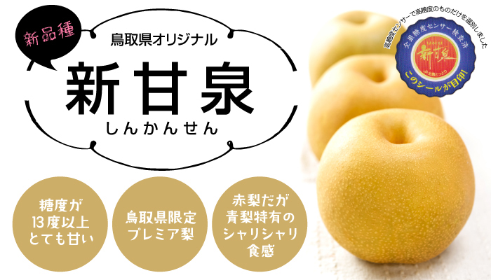 梨 新甘泉 しんかんせん ちょっと訳あり 大きさおまかせ 5kg 鳥取県産
