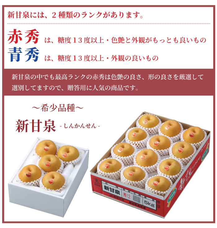 梨 新甘泉 しんかんせん ちょっと訳あり 大きさおまかせ 5kg 鳥取県産