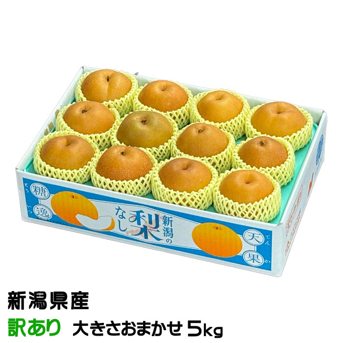 しなしなの梨 あきあかり　断面　農研機構-