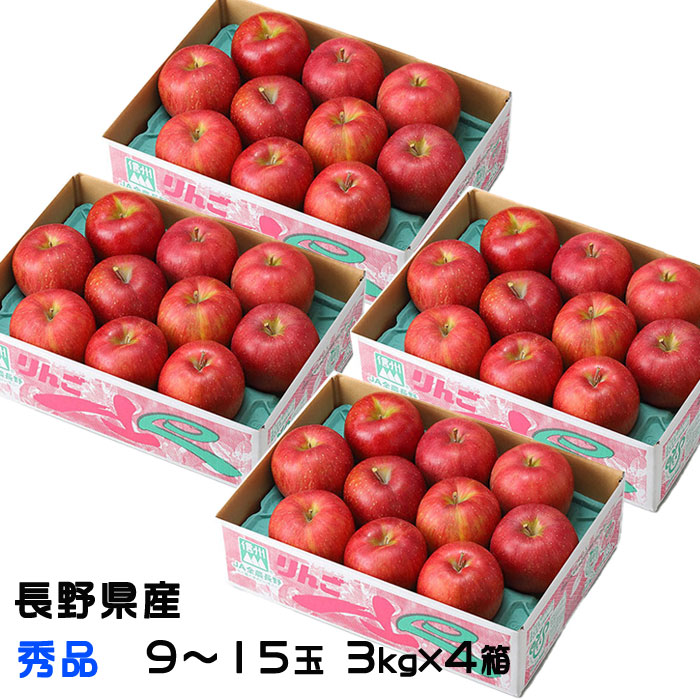 りんご サンふじ 3kg×4箱 秀品 9～15玉 長野県産 信州高山さわやかりんご 林檎 リンゴ