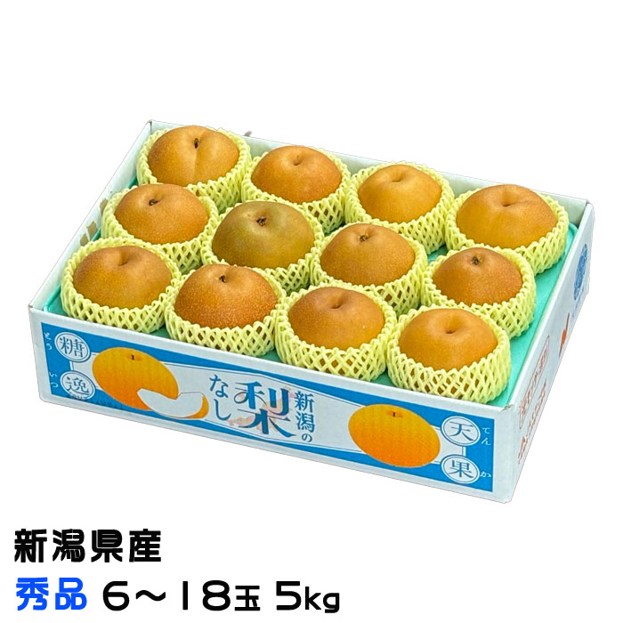 楽天市場】梨 新王 しんおう 優品 6〜18玉 5kg 新潟県産 なし