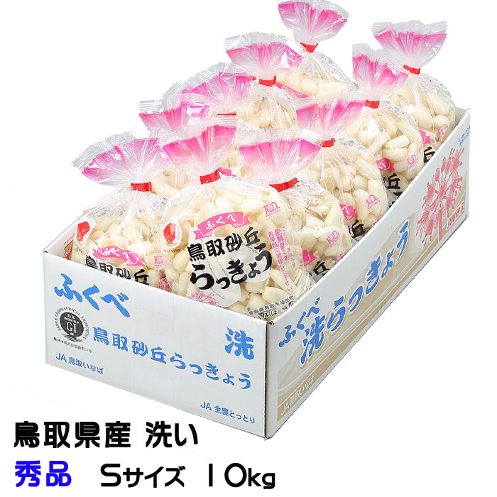 洗い 砂丘らっきょう 秀品 Sサイズ 10kg 鳥取県産 ＪＡ鳥取いなば 福部産  らっきょ  作り方 レシピ付き