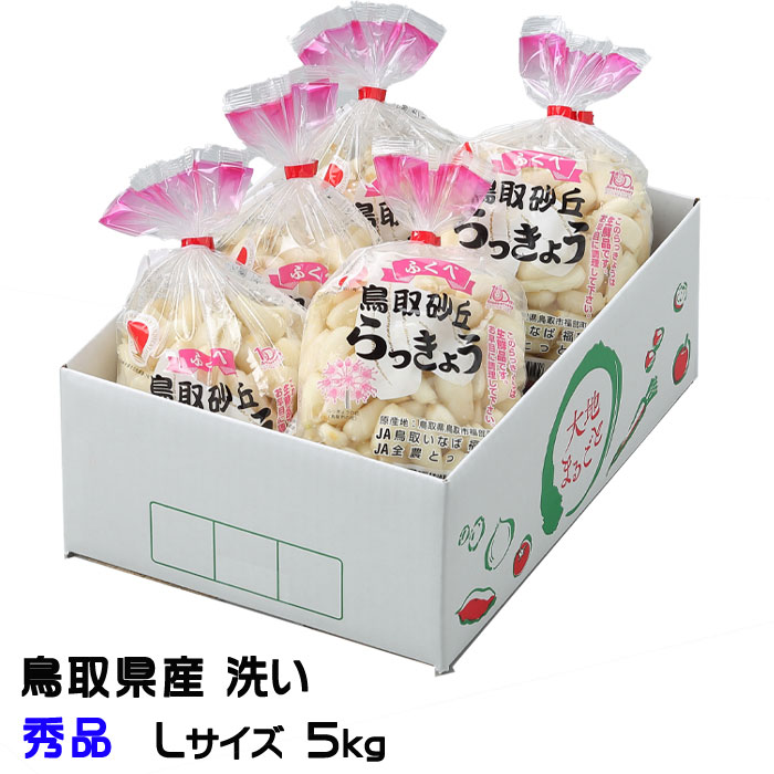 洗い 砂丘らっきょう 秀品 Lサイズ 5kg  鳥取県産 ＪＡ鳥取いなば 福部産  らっきょ 作り方 レシピ付き