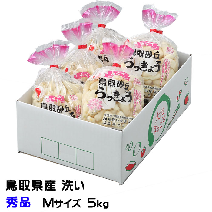 洗い 砂丘らっきょう 秀品 Mサイズ 5kg  鳥取県産 ＪＡ鳥取いなば 福部産  らっきょ 作り方 レシピ付き