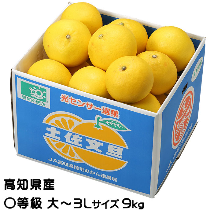 ぶんたん 宿毛文旦 すくもぶんたん 〇等級 大～3L 14～18玉 9kg 高知県産 ブンタン