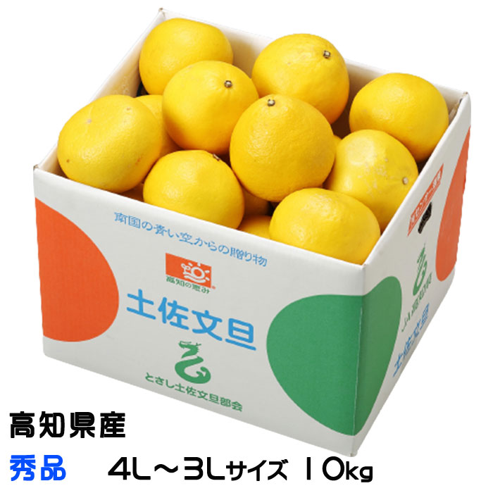売れ筋ランキングも掲載中！ 楽天市場】ぶんたん 特選 高知 9kg 14〜18玉 大〜3L だるま文旦 果物