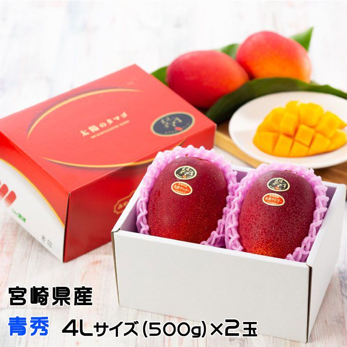 マンゴー 太陽のタマゴ 青秀 4L 500g以上×2玉 JA宮崎経済連 宮崎県産 完熟マンゴー 太陽のたまご ギフト お取り寄せグルメ 〇 父の日