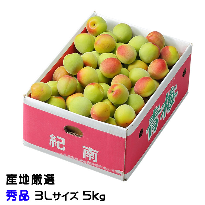 梅 南高梅 産地厳選 秀品 3Lサイズ 5kg なんこう うめ 生梅