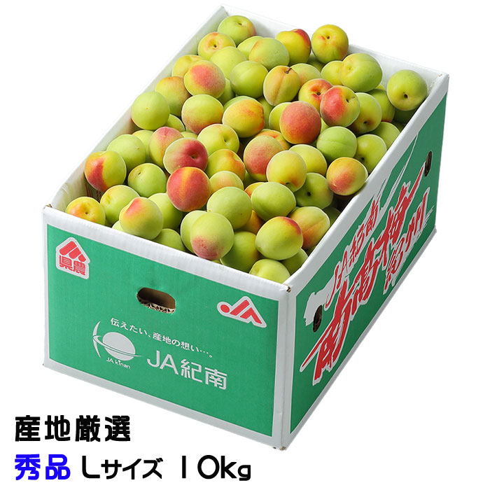 南高梅 10kg 3Lの人気商品・通販・価格比較 - 価格.com