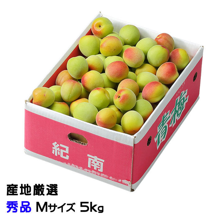 梅 南高梅 産地厳選 秀品 Mサイズ 5kg なんこう うめ 生梅