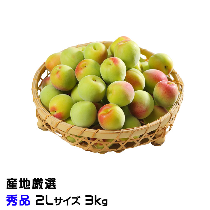 梅 南高梅 産地厳選 秀品 2Lサイズ 3kg なんこう うめ 生梅