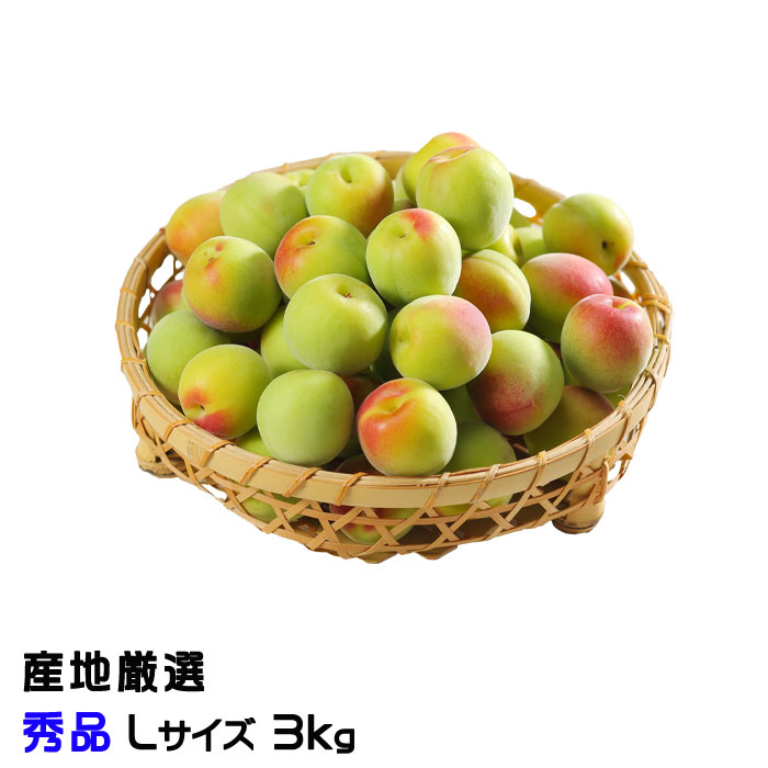 梅 南高梅 産地厳選 秀品 Lサイズ 3kg なんこう うめ 生梅