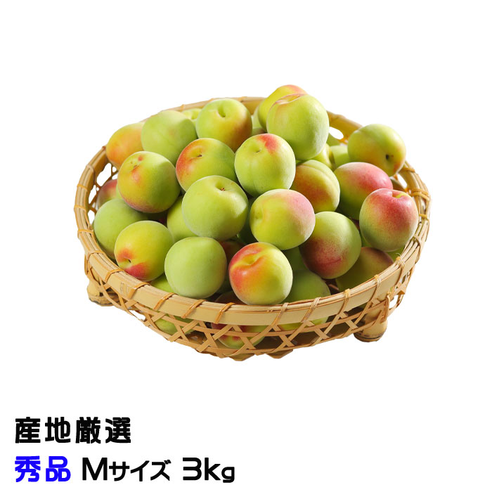梅 南高梅 産地厳選 秀品 Mサイズ 3kg なんこう うめ 生梅