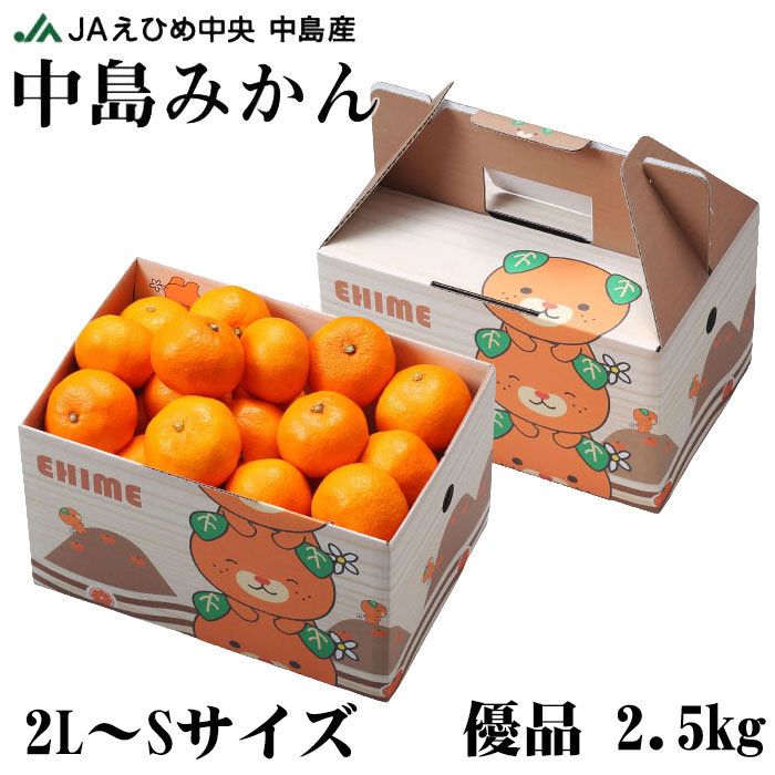 みかん 中島みかん 優品 2L〜Sサイズ 2.5kg みきゃん箱入り 愛媛県産 JAえひめ中央 中島選果場 ミカン 蜜柑 ギフト お歳暮 国際ブランド