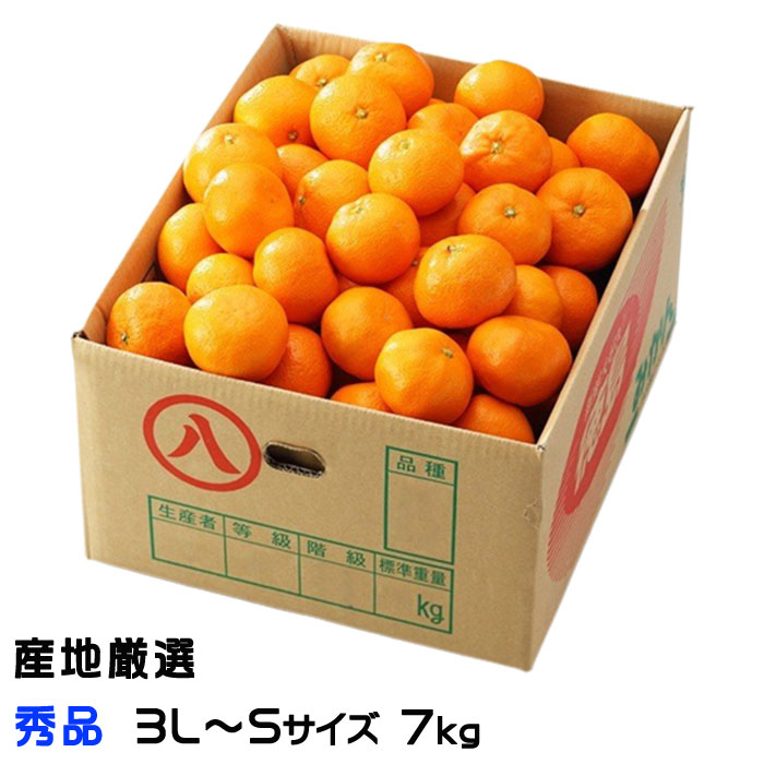 楽天市場】高糖度温州みかん Mサイズ 5kg（約50個）送料無料 和歌山産