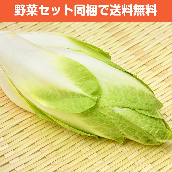 楽天市場 アンディーブ チコリ 1パック おしゃれ野菜 珍しい野菜 インスタ映え サラダ お取り寄せ 新鮮野菜とフルーツのお店 旬屋