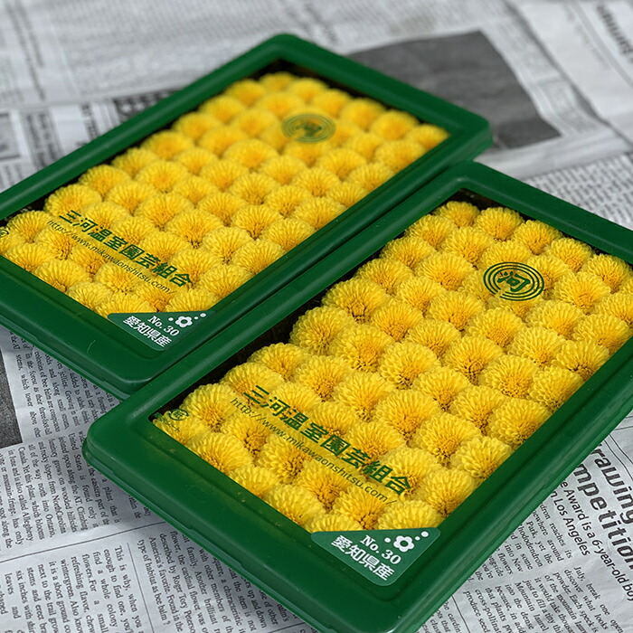 楽天市場】エディブルフラワー 1パック（約20から30個前後）【食用花