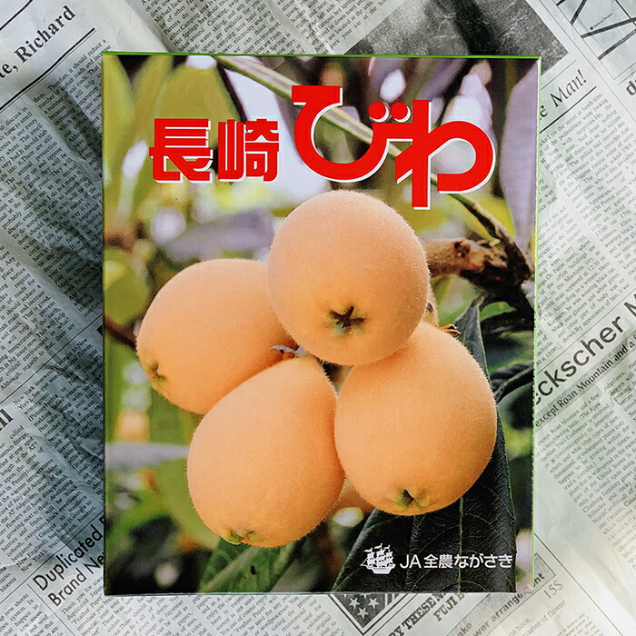 楽天市場 びわ 1ケース ビワ 琵琶 国産 国内産 日本産 高級 果物 ご褒美フルーツ 豪華 お土産 手土産 贈り物 プレゼント 甘い 美味しい 新鮮野菜とフルーツのお店 旬屋