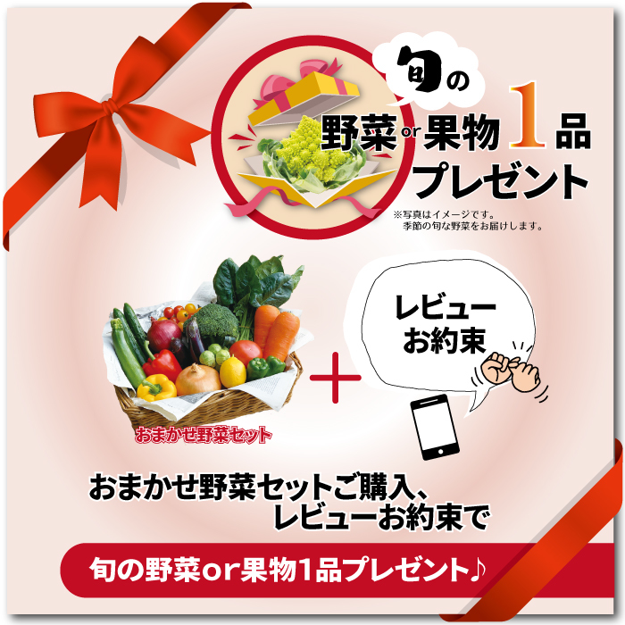 楽天市場 花山椒100g 花ザンショ 山椒 単品 野菜 国内産 日本産 国産 新鮮 佃煮 高級 食材 新鮮野菜とフルーツのお店 旬屋