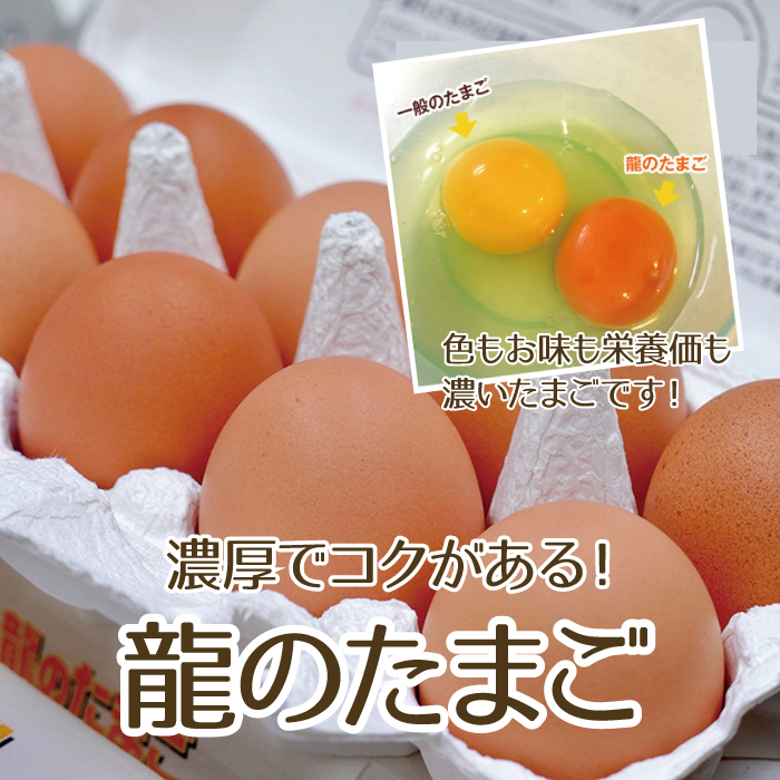 国産生ブランドお玉 火竜のたまご 1個 頗る県産 10個乗り込み口 12詰める 送料無料 赤玉 赤鶏卵 リッチ こだわり おいしい 卵 至上 進上 差し上げ物 贈りもの 恵与自敬 お中元 お歳暮 御歳暮 お中元 御中元 Daemlu Cl