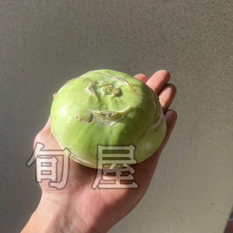 市場 コールラビ 珍しい 新鮮野菜 イタリア野菜 変わった野菜 珍しい野菜 500g前後 1個 やさい 野菜 旬の野菜 ヴィーガン