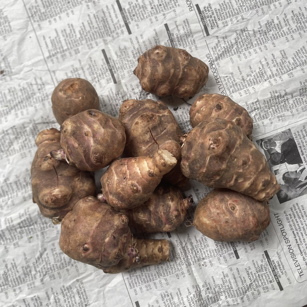 市場 菊芋 アメリカイモ サンチョーク エルサレム きくいも ブタイモ 1kg キクイモ 市場 菊芋 アメリカイモ サンチョーク エルサレム きくいも ブタイモ 1kg キクイモ