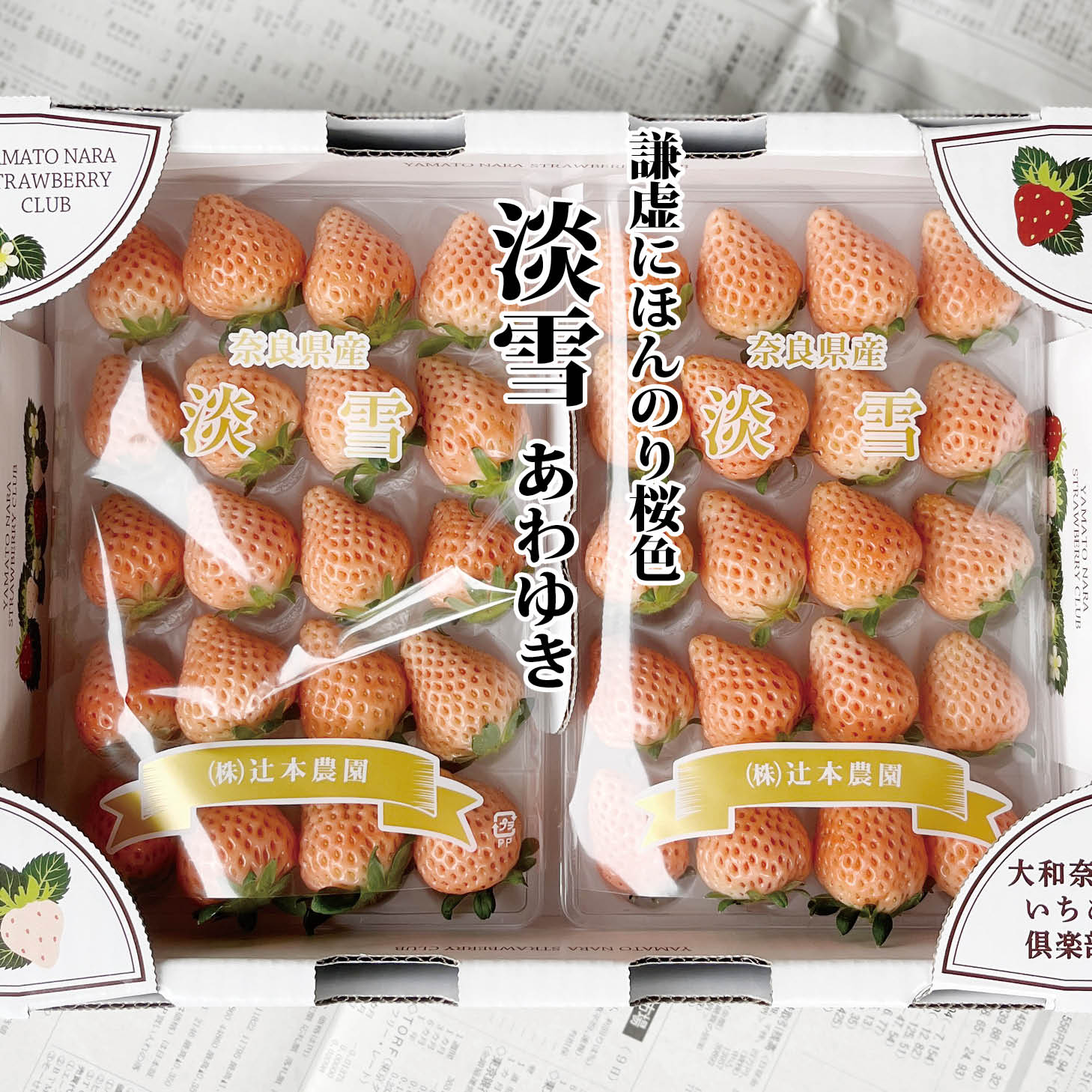 【化粧箱入】【送料無料】ブランドいちご　淡雪　1ケース　M～2Lサイズ (2パック)　 産地厳選　【イチゴ 苺 奈良いちごラボ お土産 贈り物 贈答品 ご褒美 ごほうび プレゼント 手土産 フルーツ 果物 白いちご】※パッケージのデザインは写真とは異なる場合がございます
