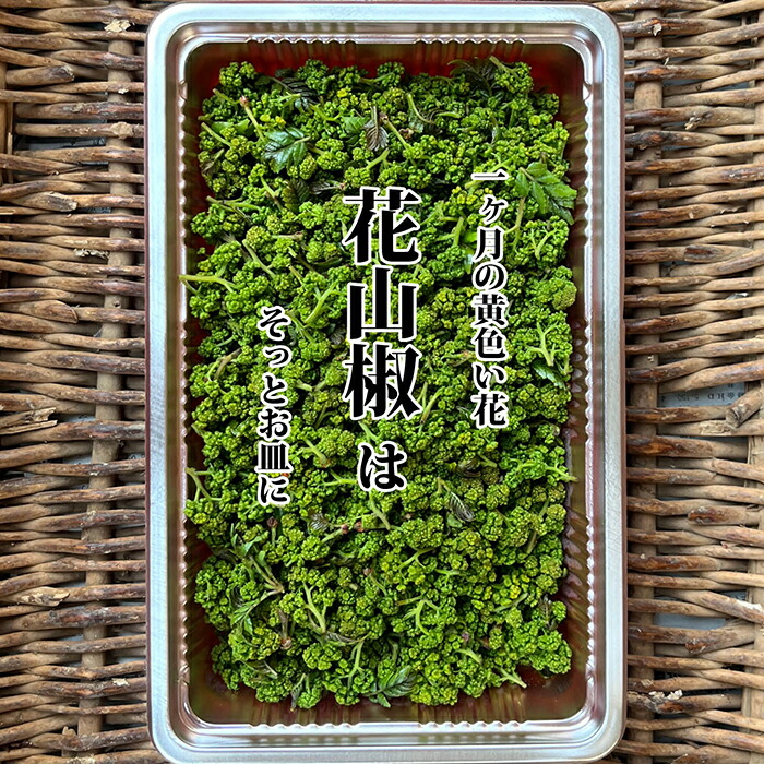 新鮮】 朝採り 花山椒 50g samarpantrust.org