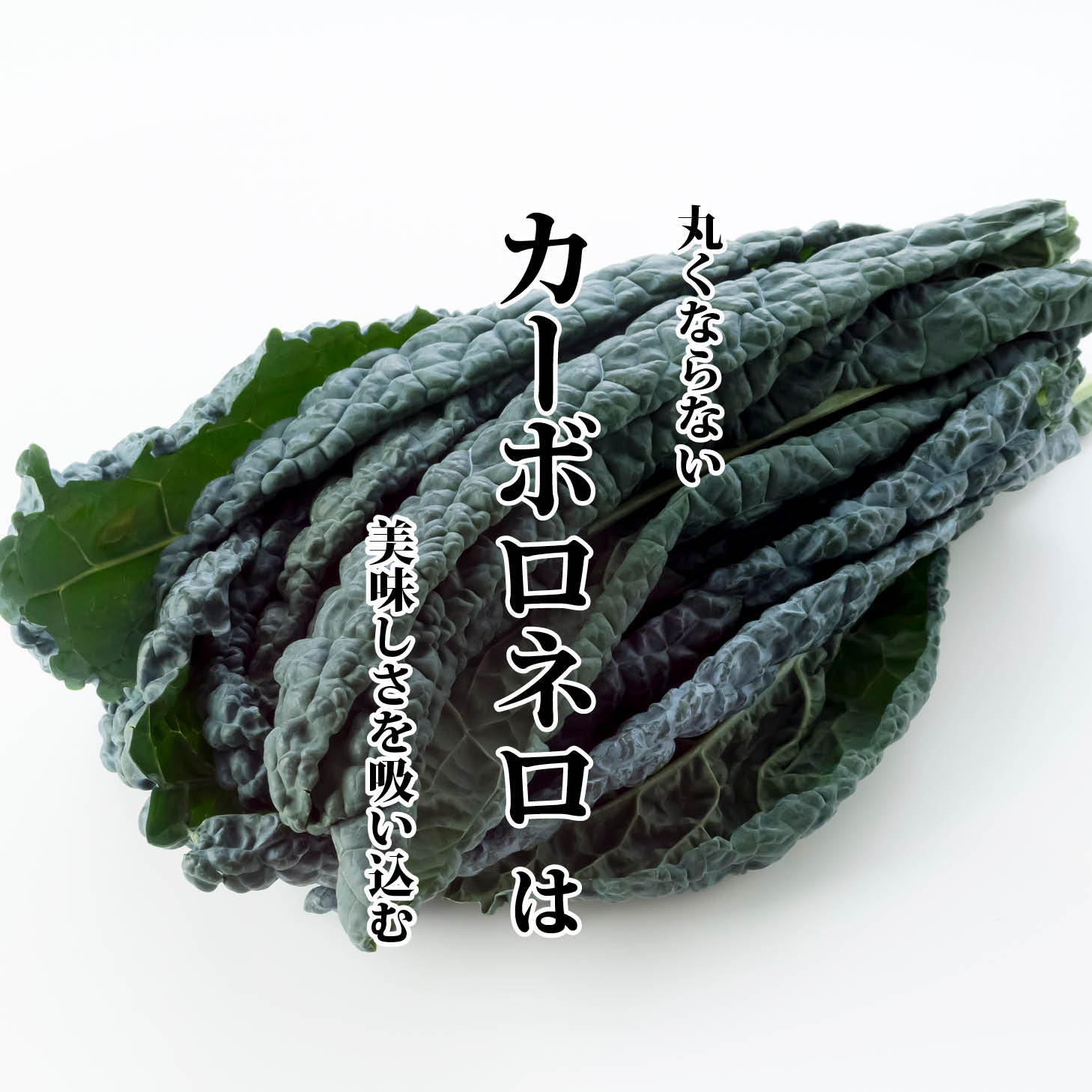 淡路島たまねぎドレッシング（3本入）ギフトボックスセット 通販