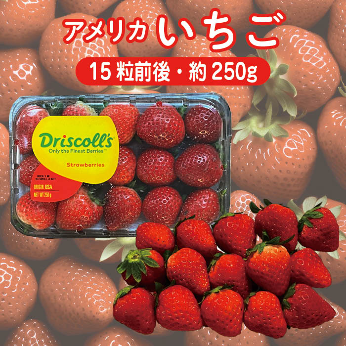 【楽天市場】アメリカ産 いちご 1パック（ 約250g・15粒前後）【送料無料 USAイチゴ フレッシュ 生 ストロベリー ケーキ作り】：新鮮