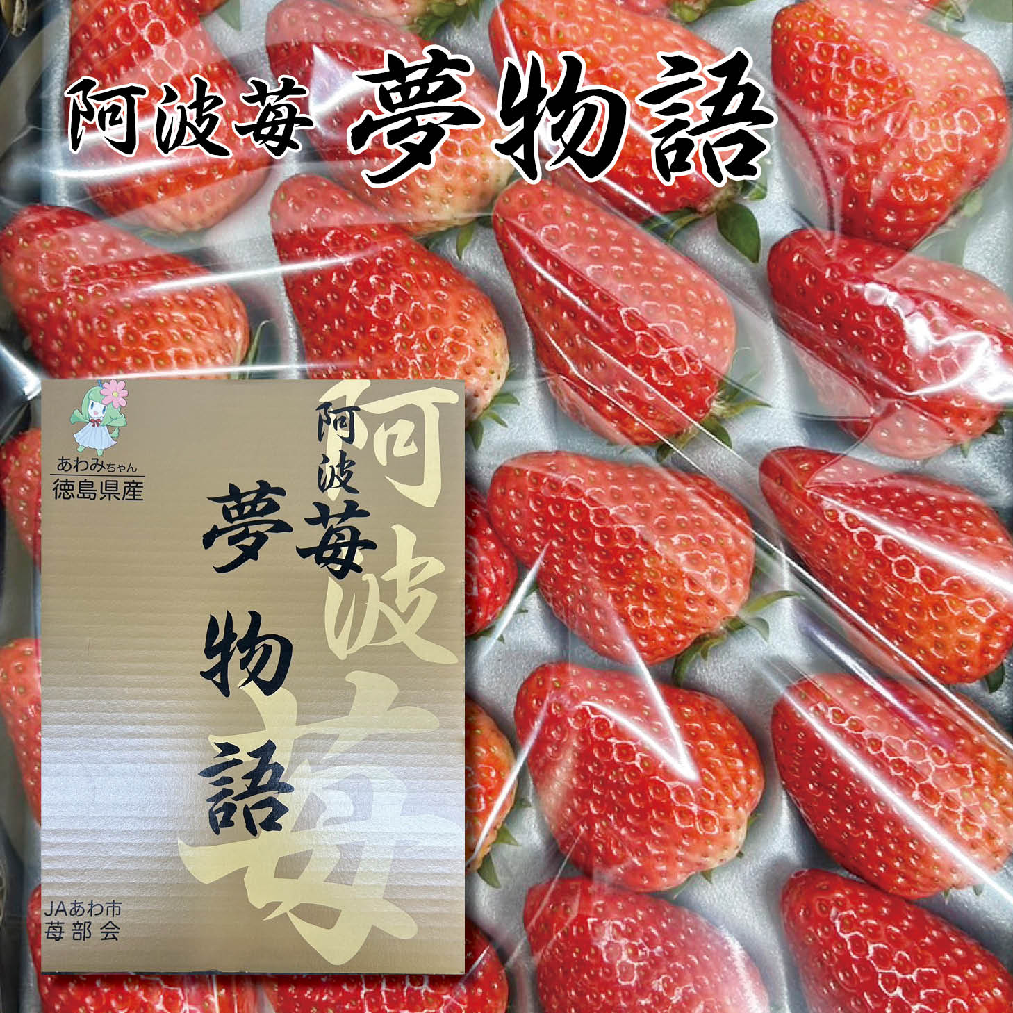 【送料無料】阿波苺 夢物語 〈化粧箱〉 1ケース（16～28粒）【徳島県産イチゴ 苺 いちご 贈り物 贈答品 ご褒美 ごほうび プレゼント ギフト 手土産 フルーツ 果物】