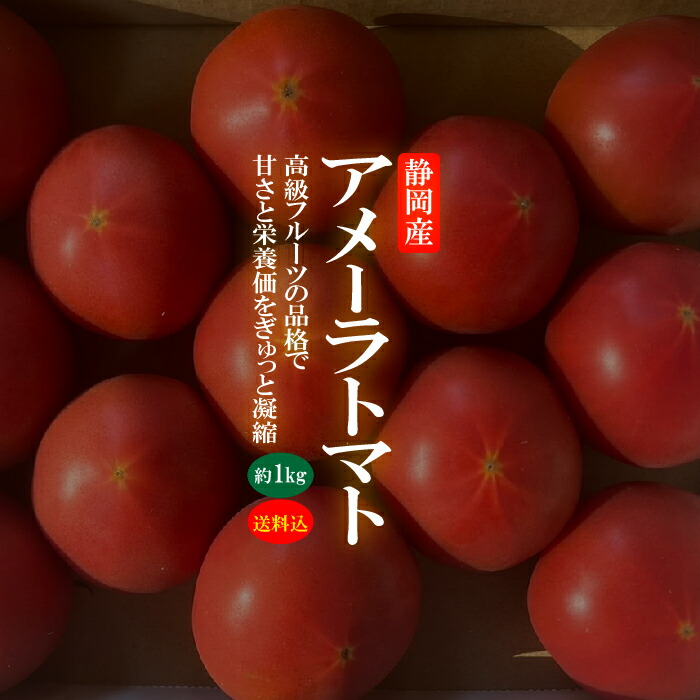 【楽天市場】【送料無料】高糖度フルーツトマト アメーラ 【1ケースあたり10～18個前後・約1kg入】 化粧箱入り 静岡県産 トマト 野菜 旬